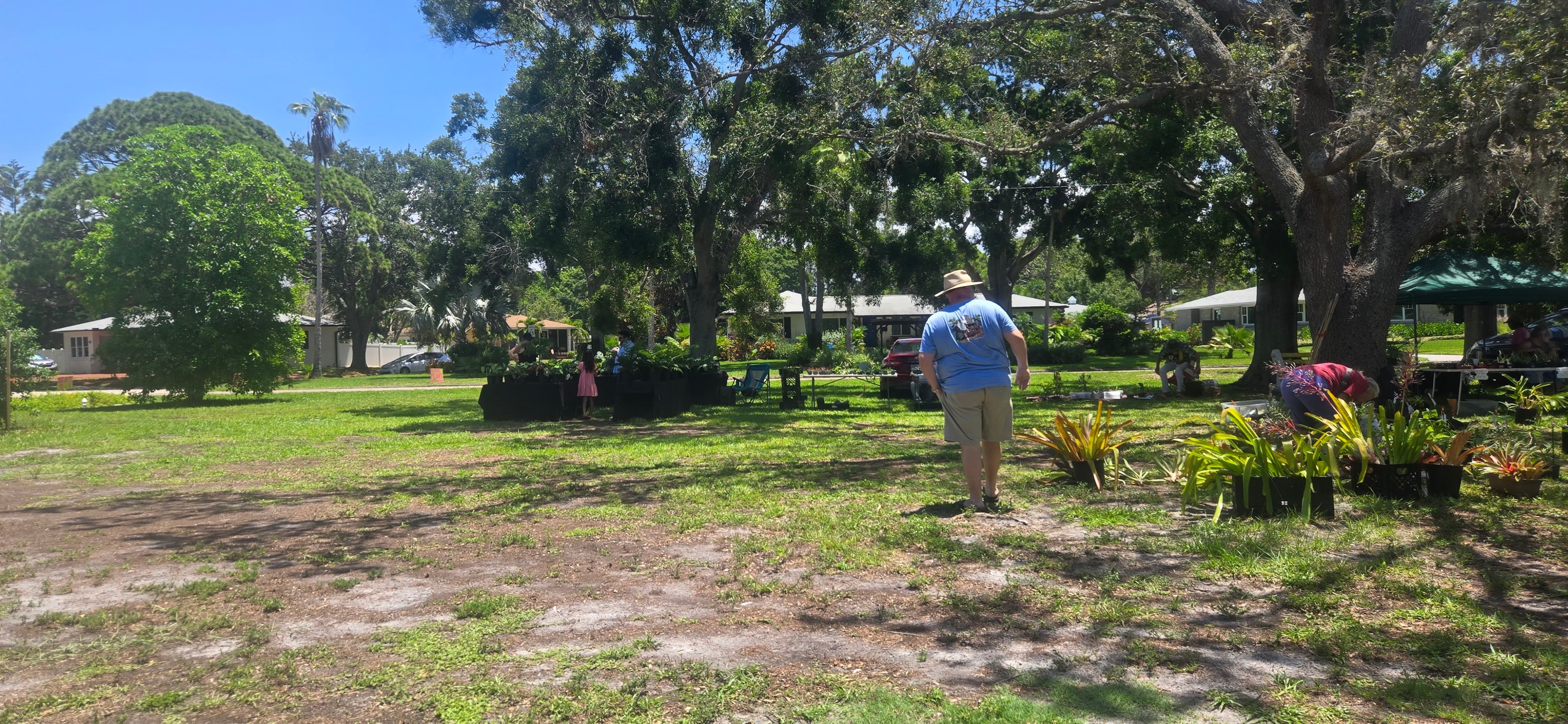 Plants R Us | Pinellas Park FL