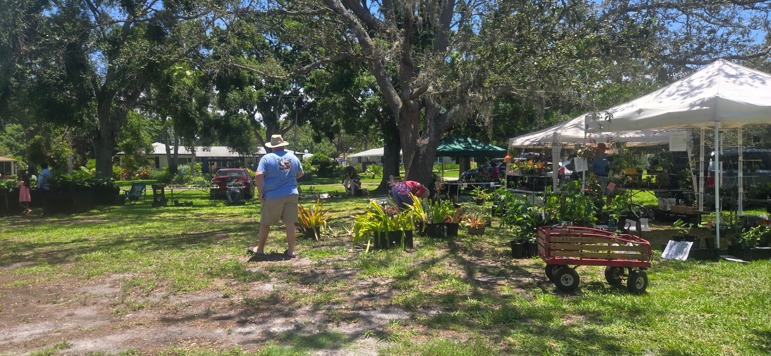 Plants R Us | Pinellas Park FL