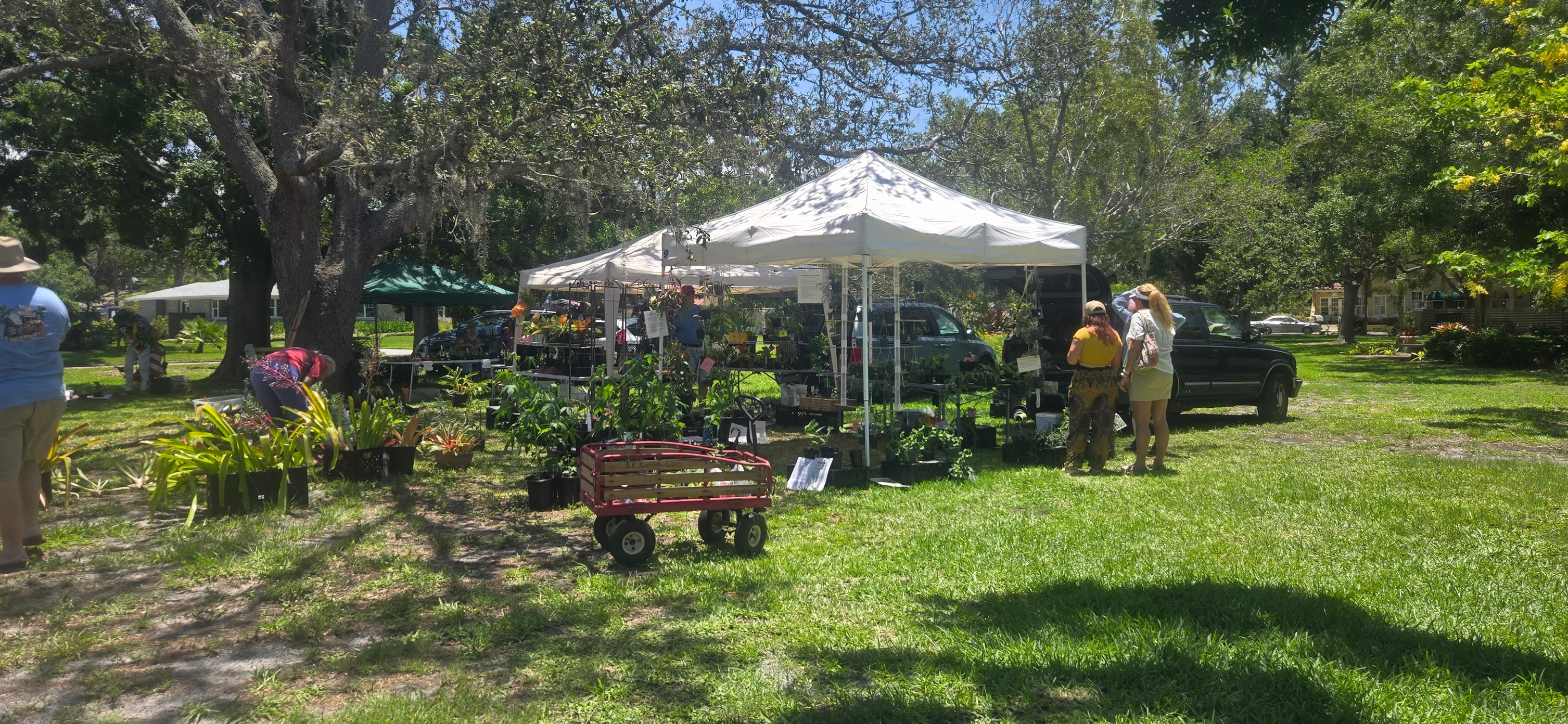Plants R Us | Pinellas Park FL