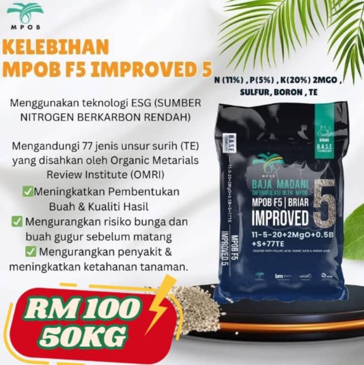 Pertubuhan Suara Generasi Ke 2 Felda | 🌴 