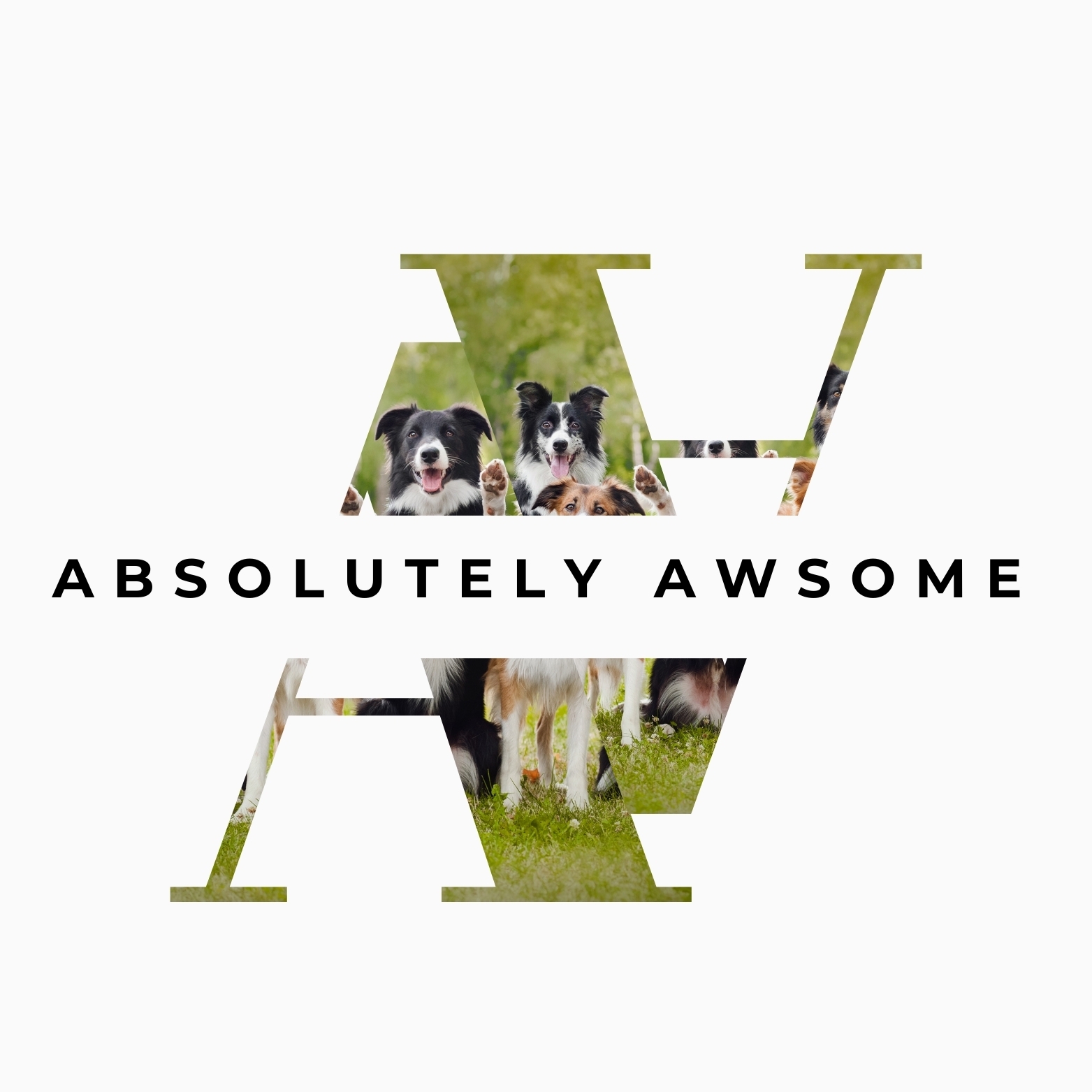 Absolutely Awsome | Manila