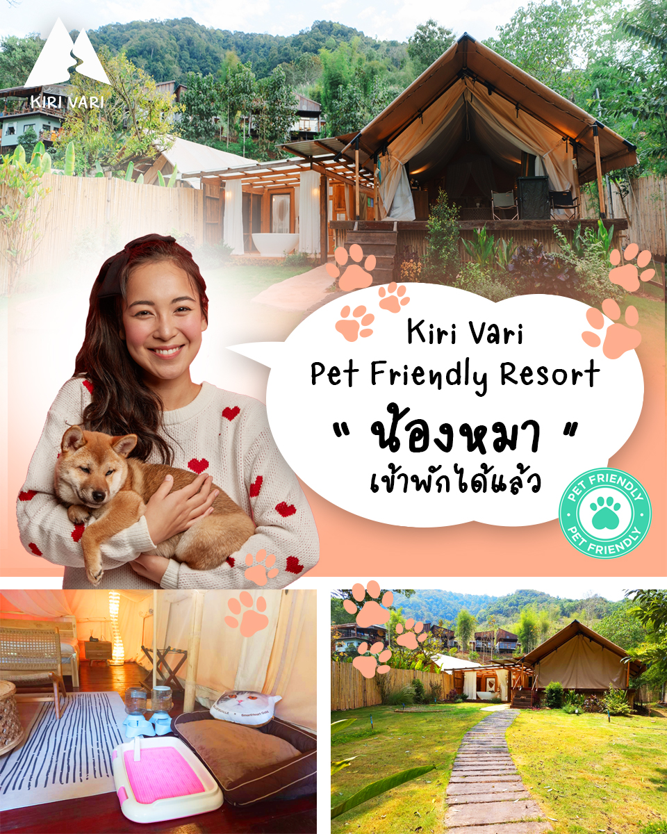 Pet Friendly Resort 🐶 Kiri Vari... - Kiri Vari คีรี วารี | Facebook