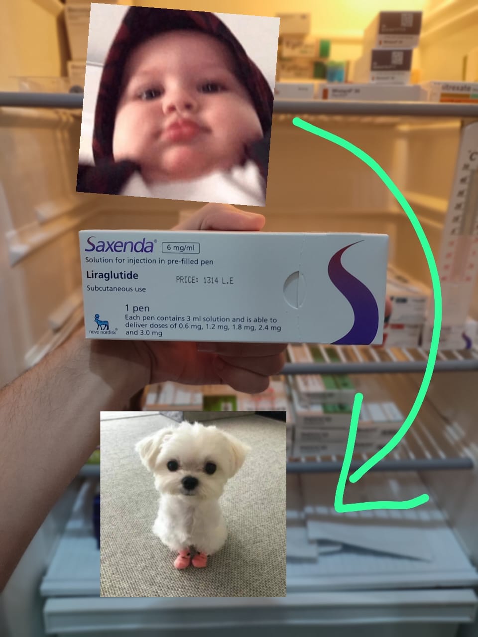 Al Amal Pharmacies / صيدليات الأمل | Alexandria