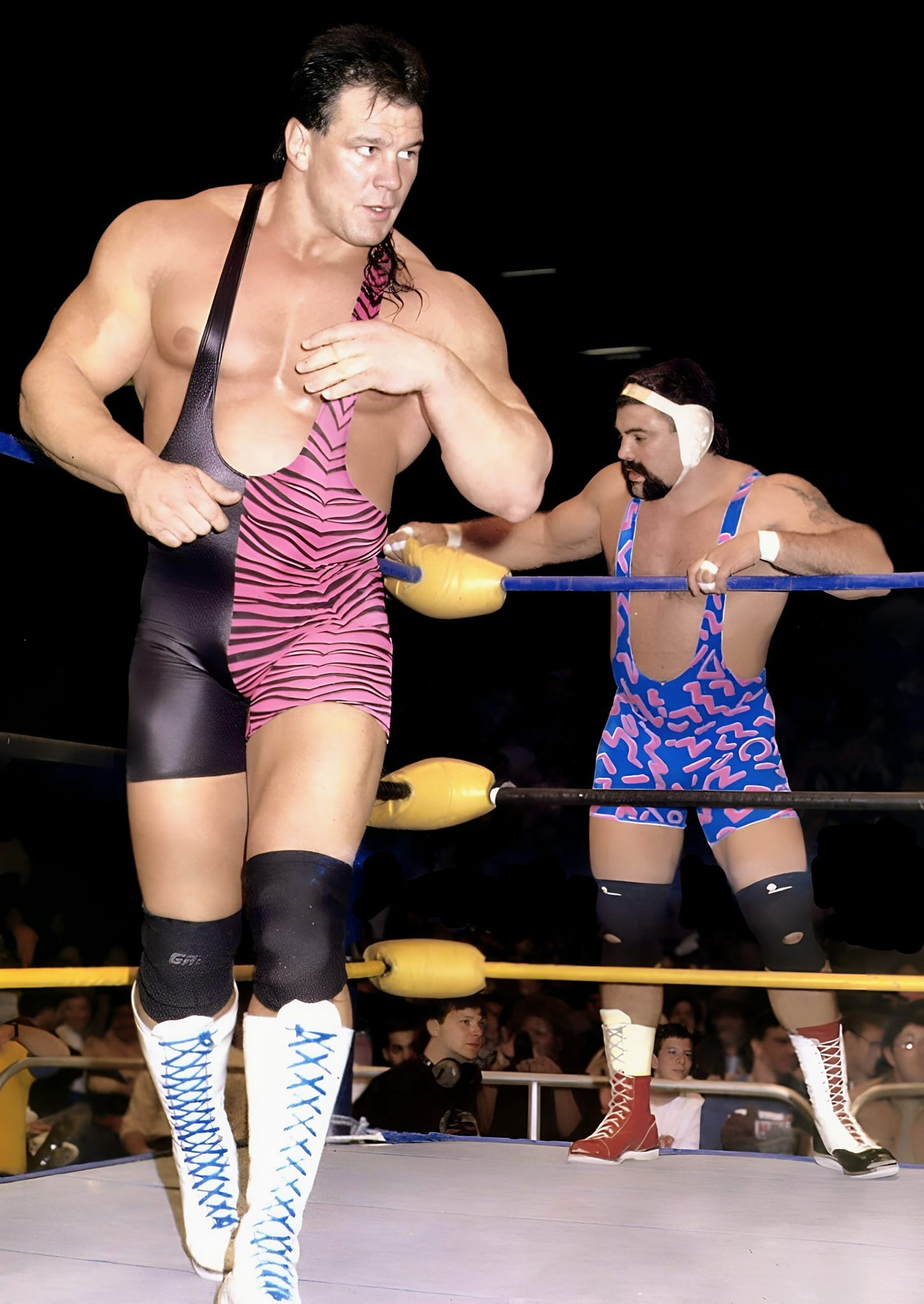 Steiner brothers' wrestling championships