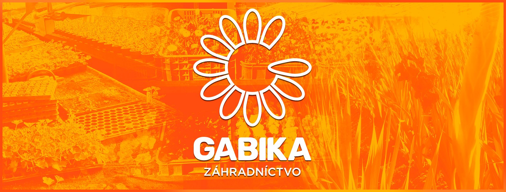 Jazyková škola BEST Galanta - Angličtina / Nemčina