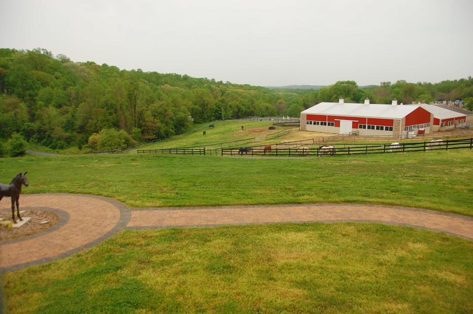 Freedom Hills Therapeutic Riding Program