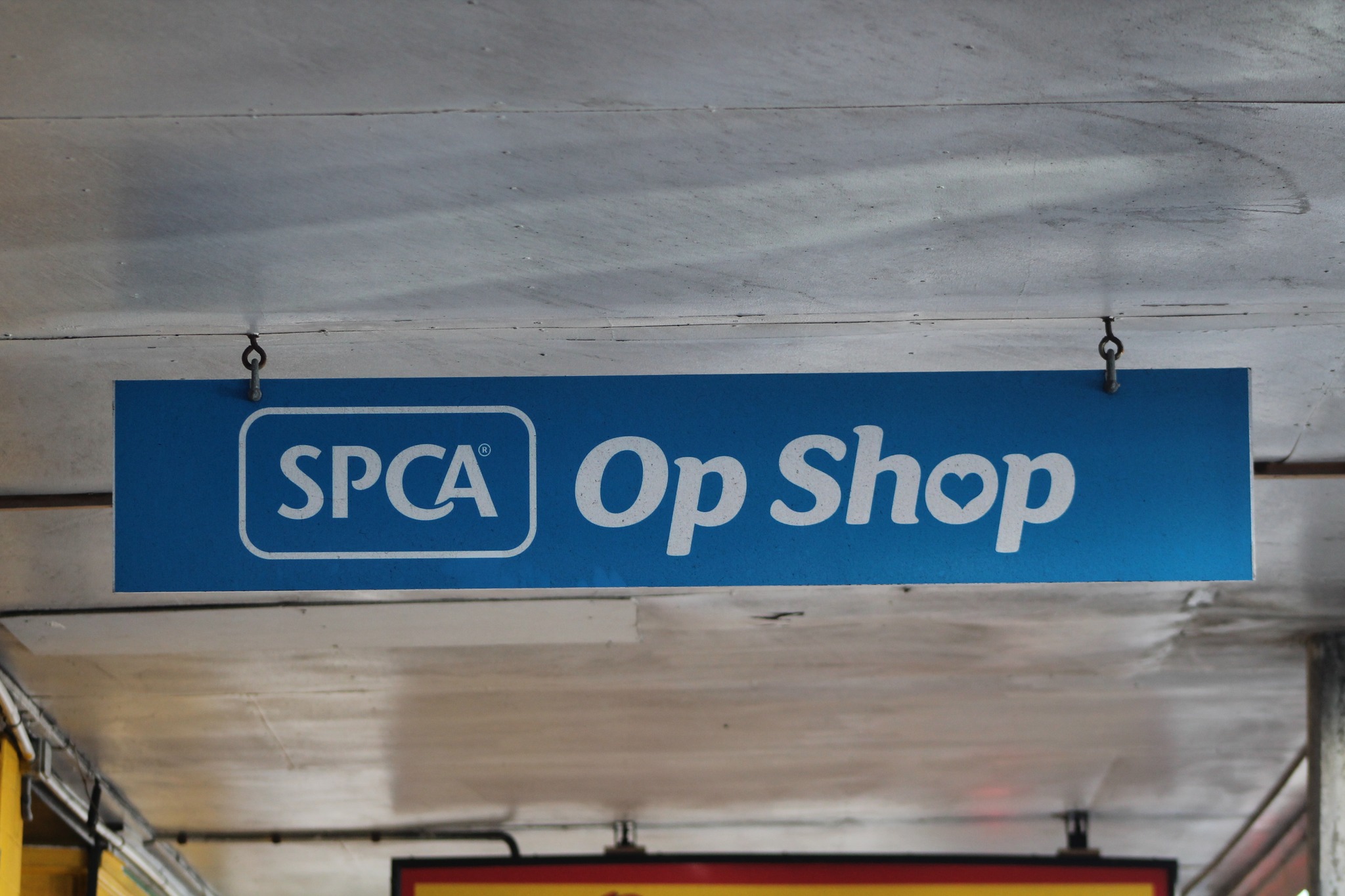 SPCA - Did you catch our SPCA Op Shops on Seven Sharp last night? 📺🛍️ ...
