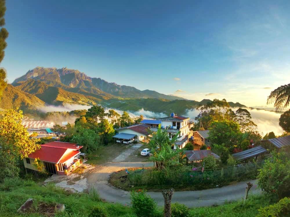 Sally Kauh - Cantik betul corak cendawan putih ni, nampak... | Facebook