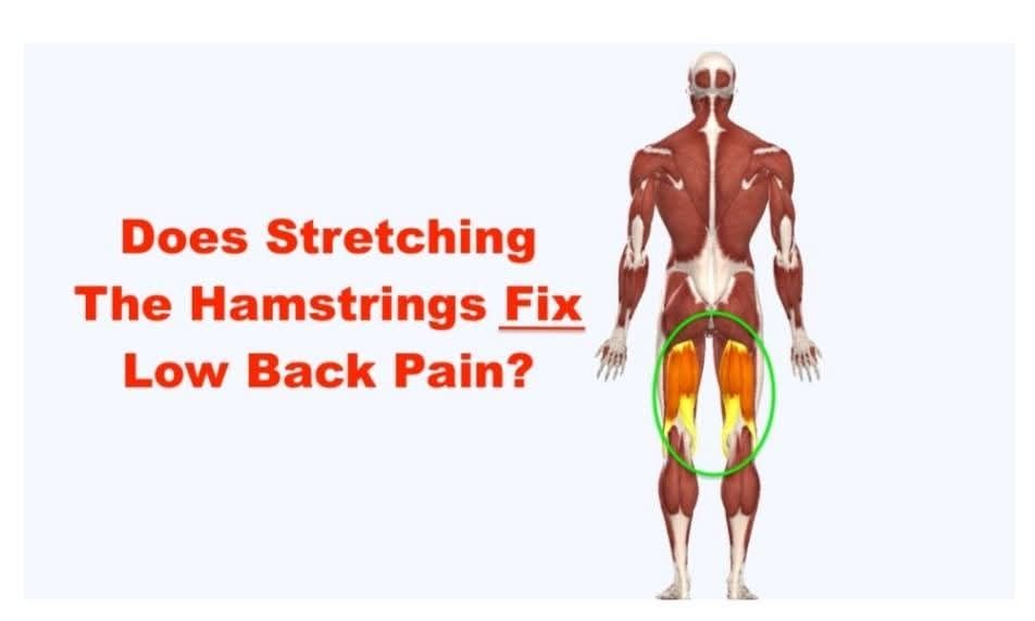 Krusukh - หนึ่งในสาเหตุของการปวดหลังคือ hamstring ตึง แฮมสตริงค์หรือ ...