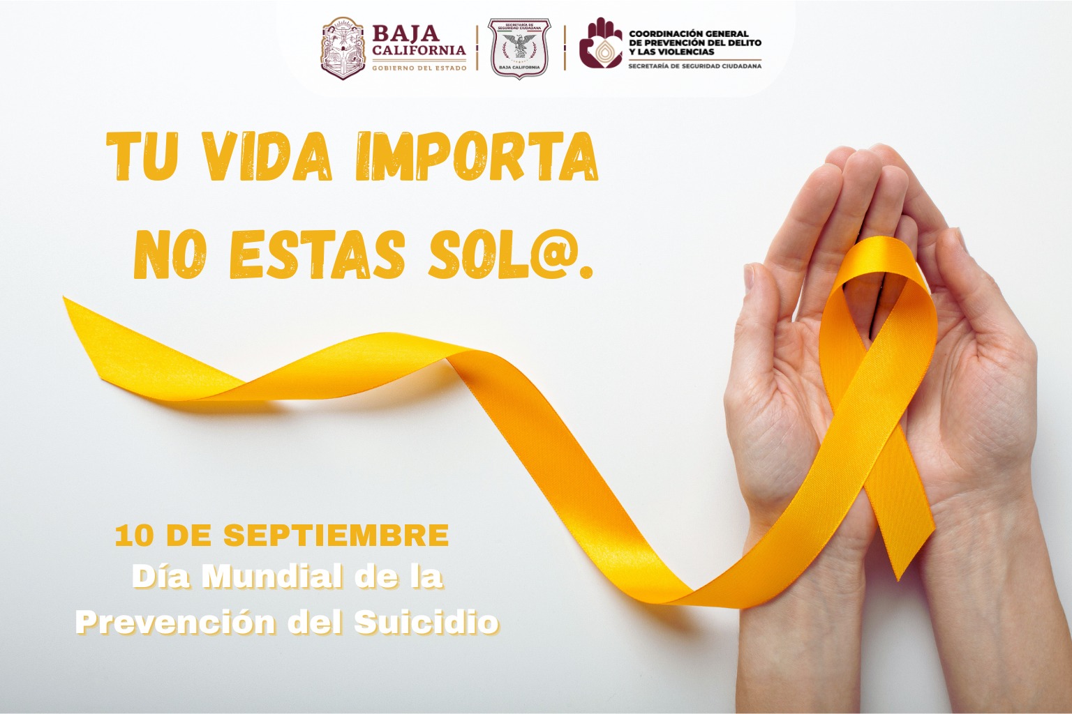 💛 10 de septiembre | Día Mundial para la Prevención del Suicidio 💛 Hoy ...