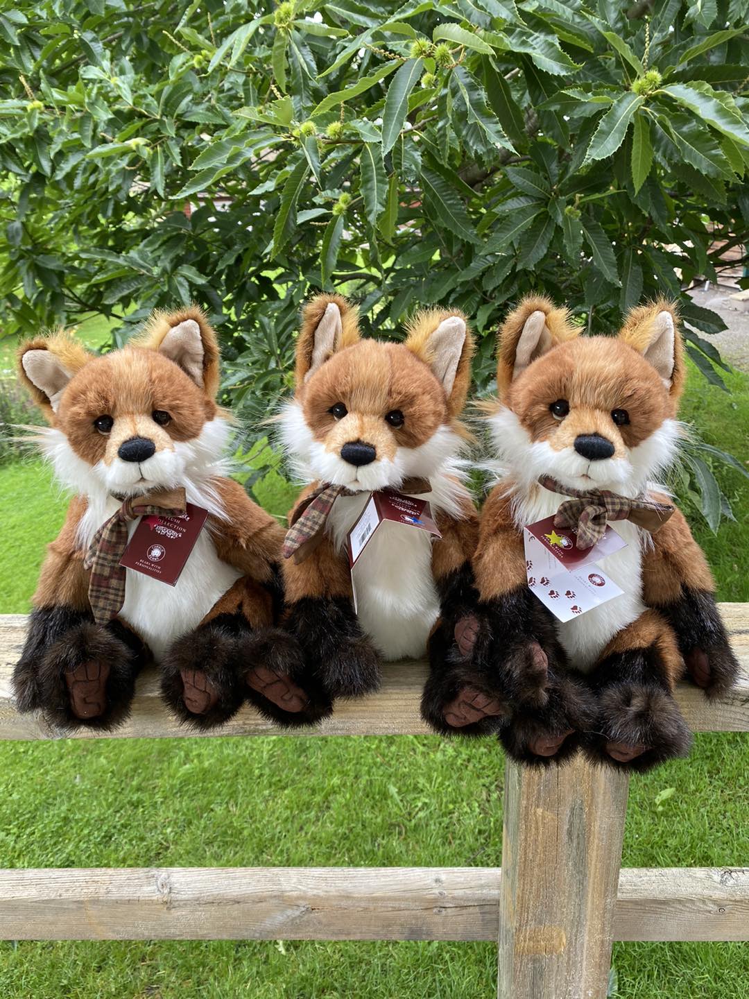 New Charlie Bears delivery at One More Bear