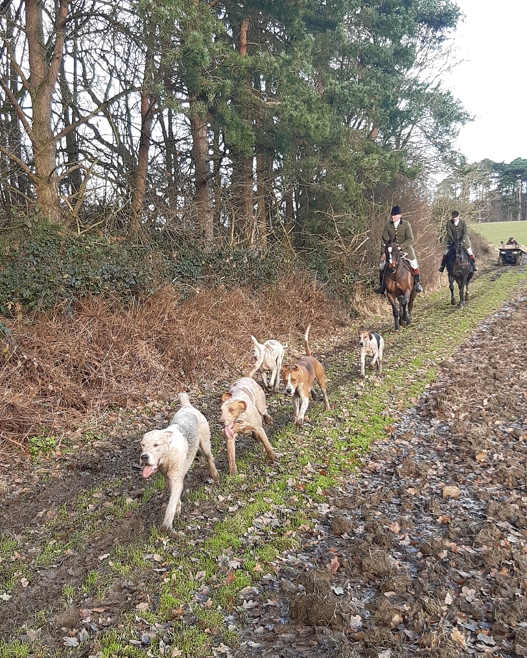We are currently sabbing... - West Yorkshire Hunt Saboteurs | Facebook