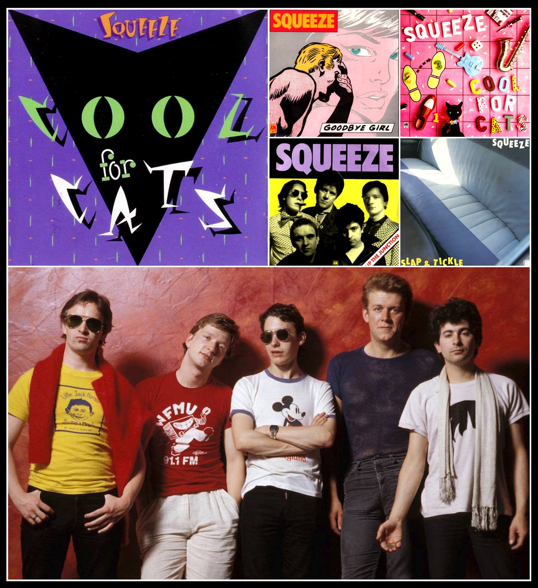 Cool for Cats