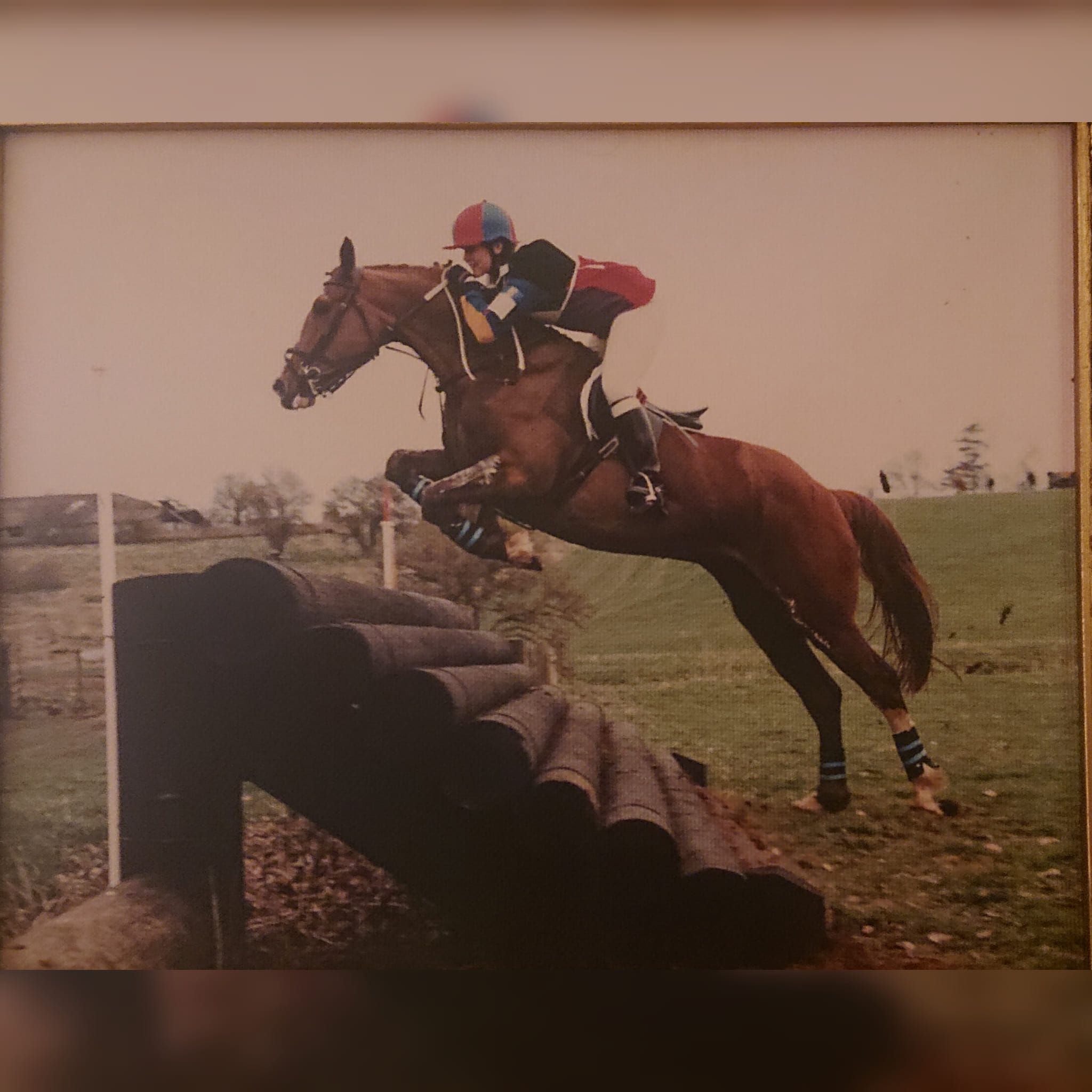Lettershuna Arena & Stables | Portnacroish