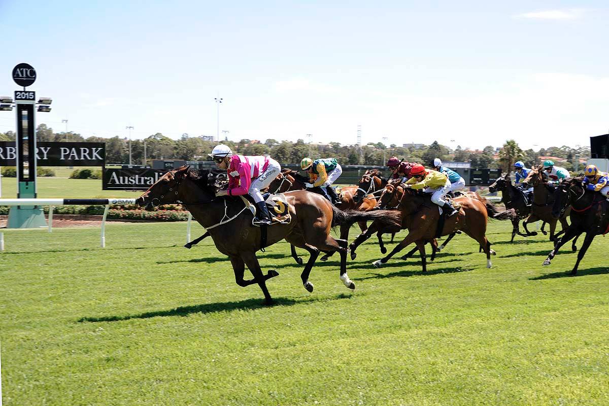Ron Quinton Racing Stables | Sydney NSW
