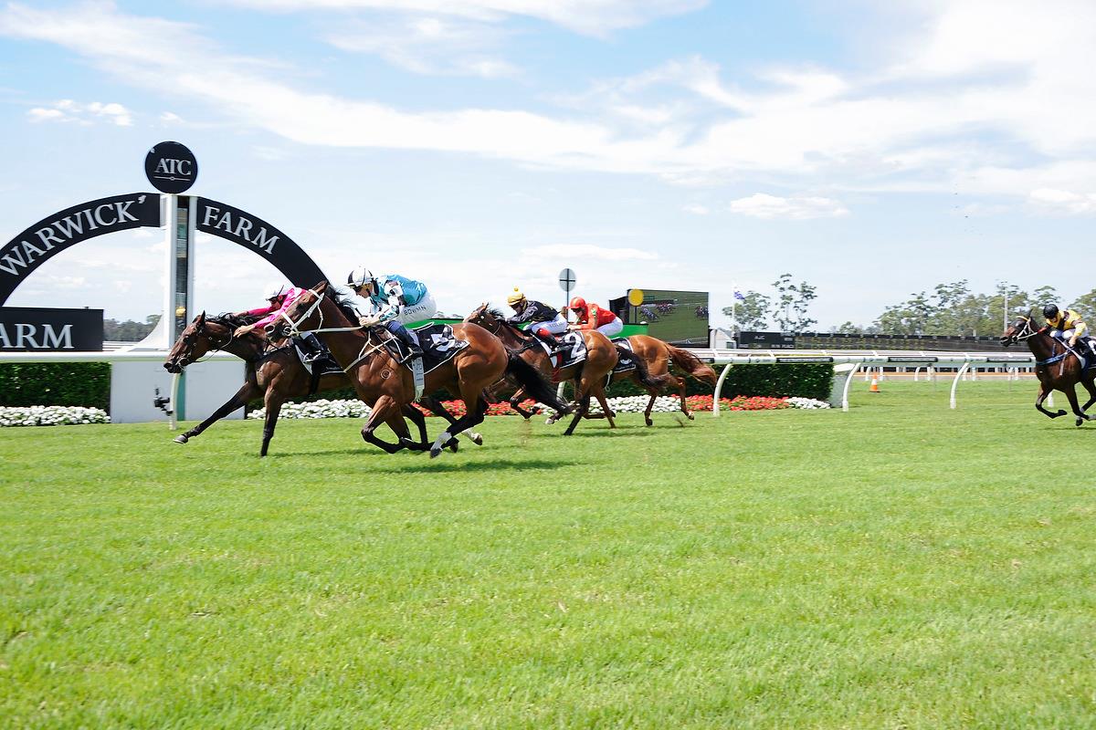 Ron Quinton Racing Stables | Sydney NSW