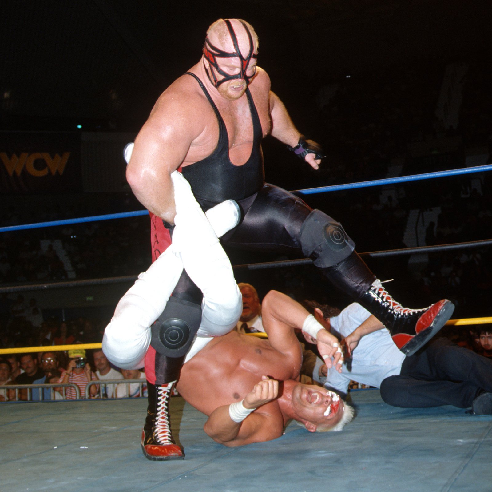 WCW legends Sid Vicious and Big Van Vader