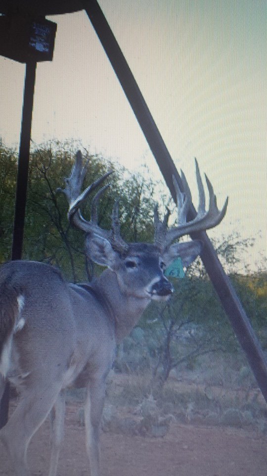 S4 Ranch | Woodson TX
