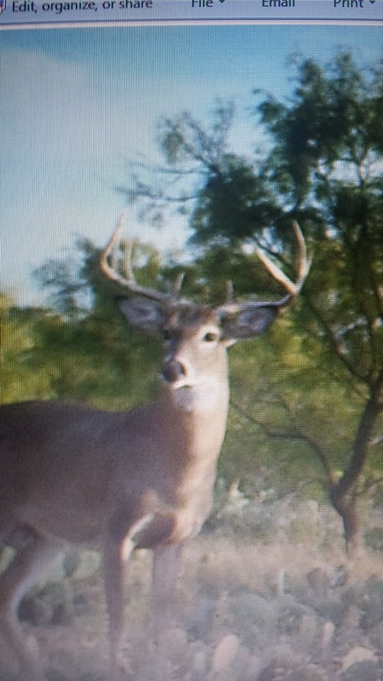 S4 Ranch | Woodson TX