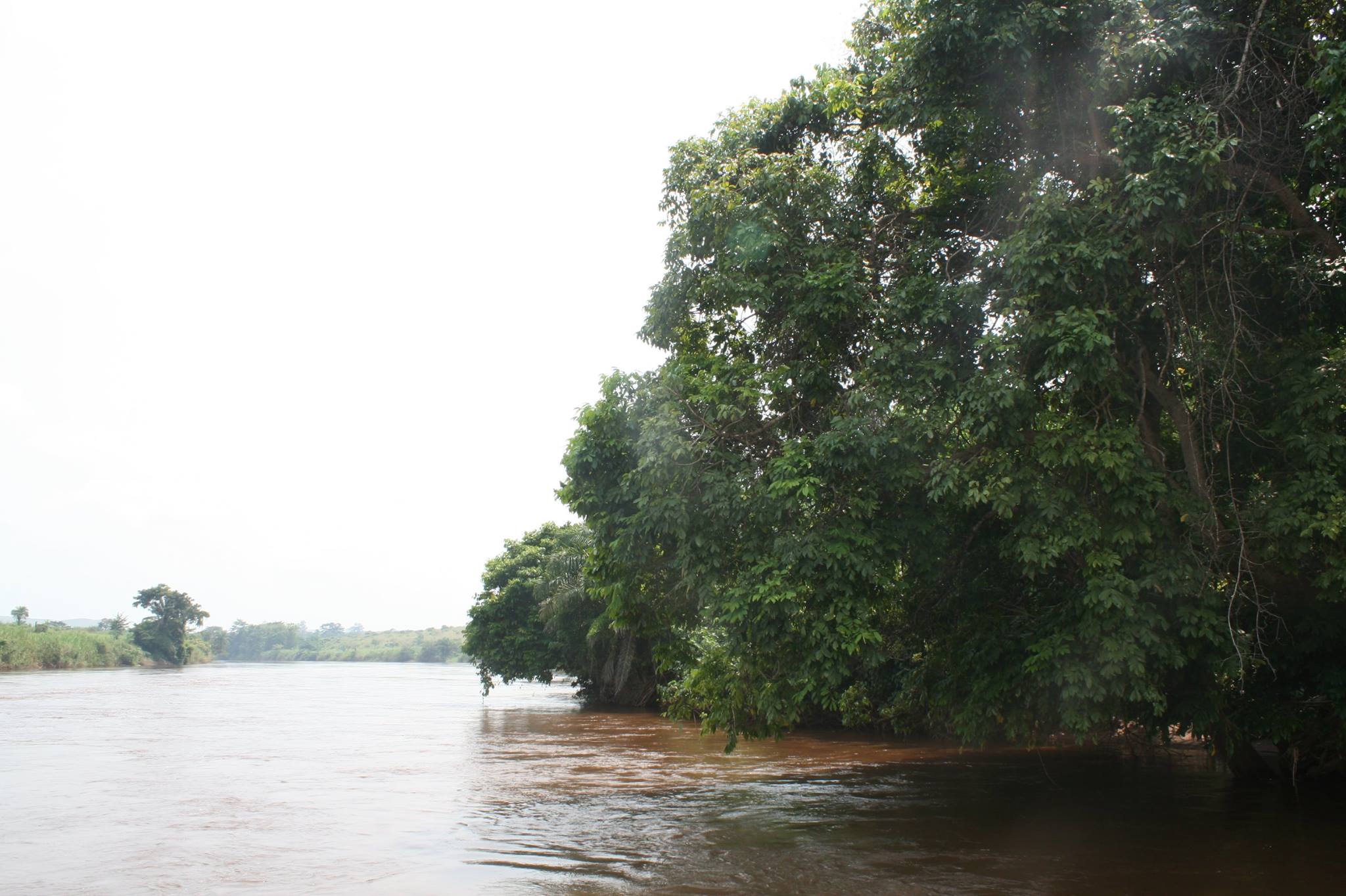 A Mabombo - Festival Retour au M'Bongui | Facebook