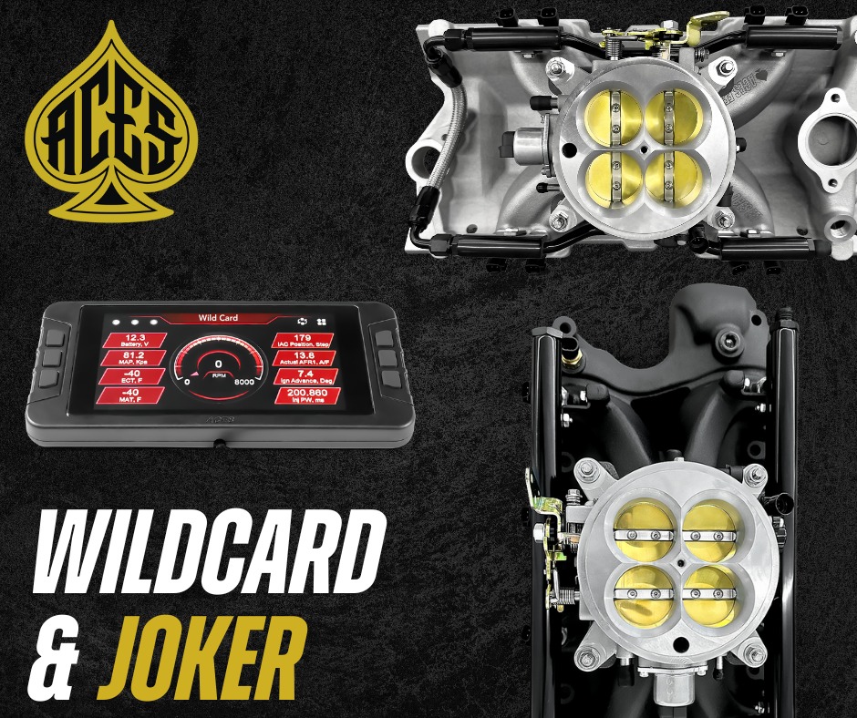 Take advantage of the Christmas sale... - ACES Fuel Injection | Facebook