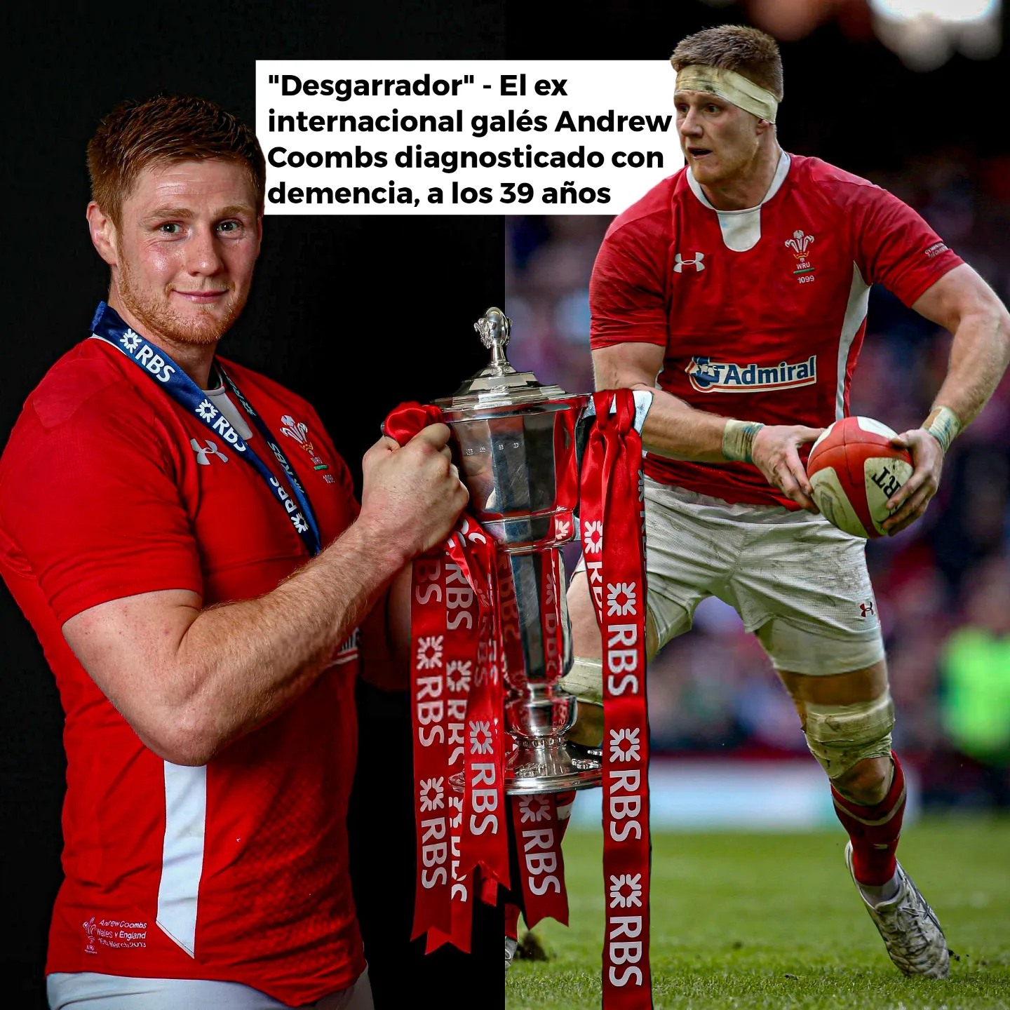 Gab Rugby - 