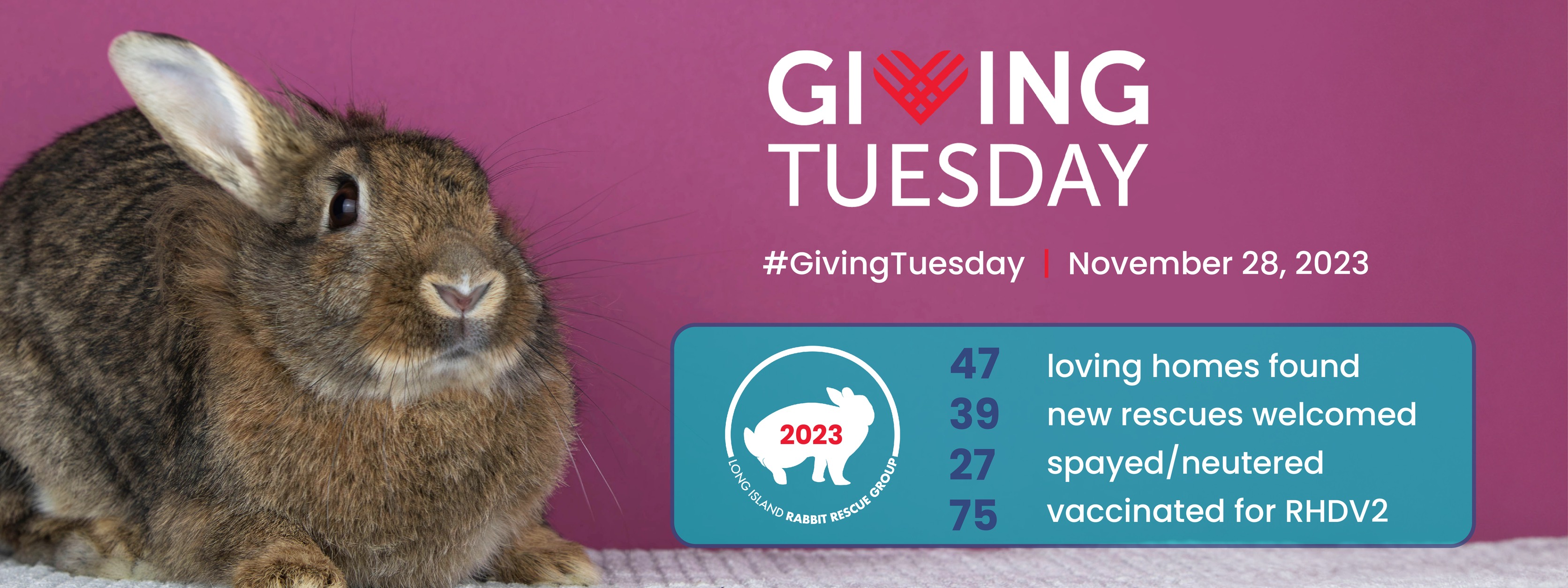 Dear Supporters, As the... - Long Island Rabbit Rescue Group