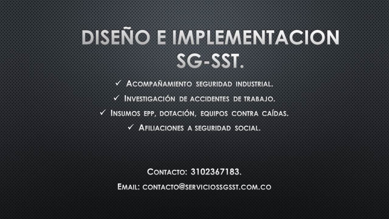 Servicios Sg-Sst SAS