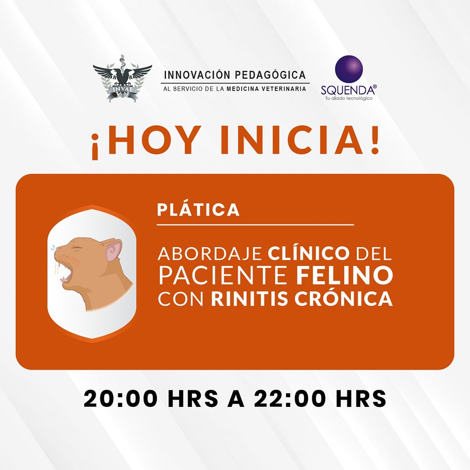 INVAE - La auscultación es una técnica de evaluación cardiaca que ...