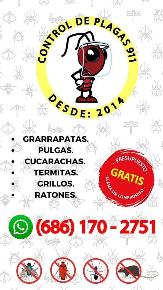 911 Control de Plagas