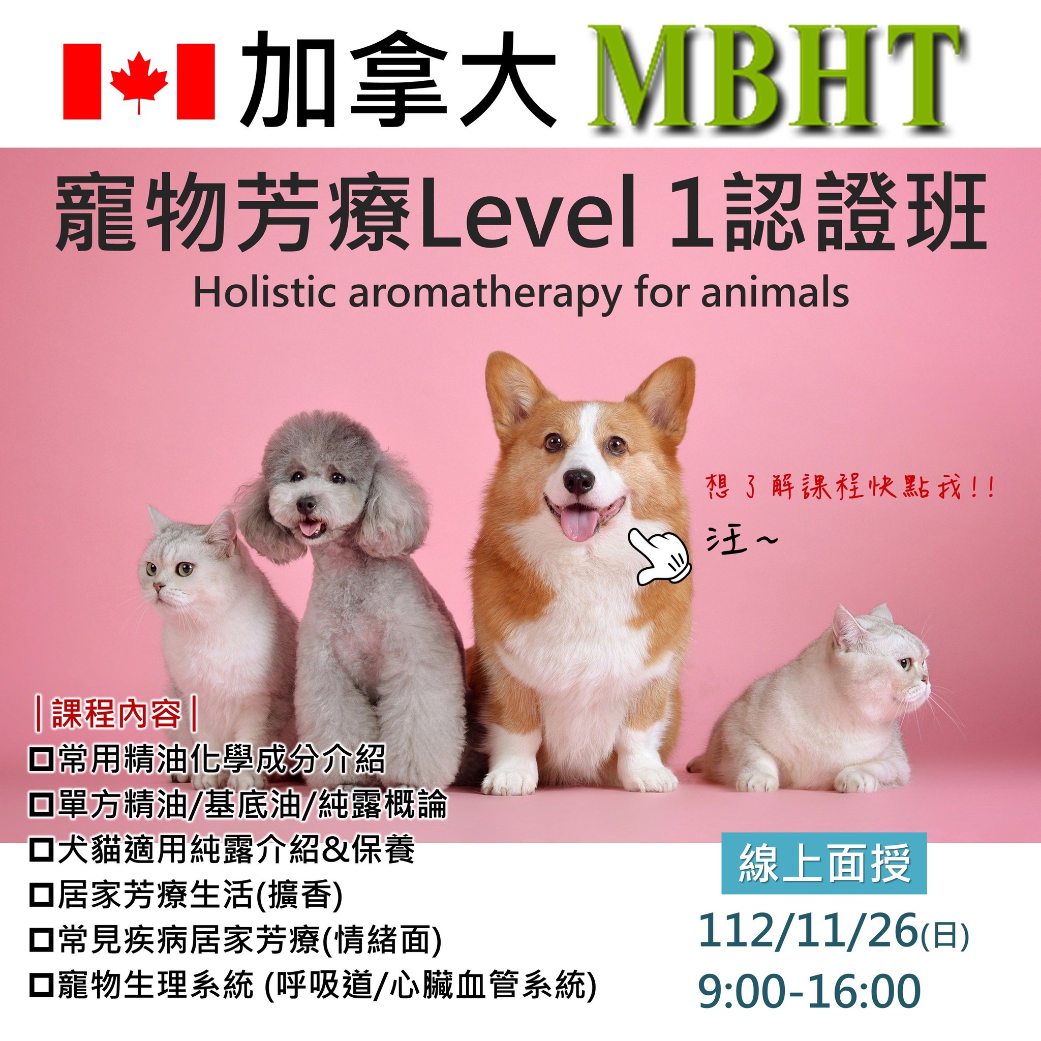 加拿大 MBHT 國際芳療學院 - 🔰【🇨🇦加拿大寵物芳療Level1 認證班】🔰... | Facebook
