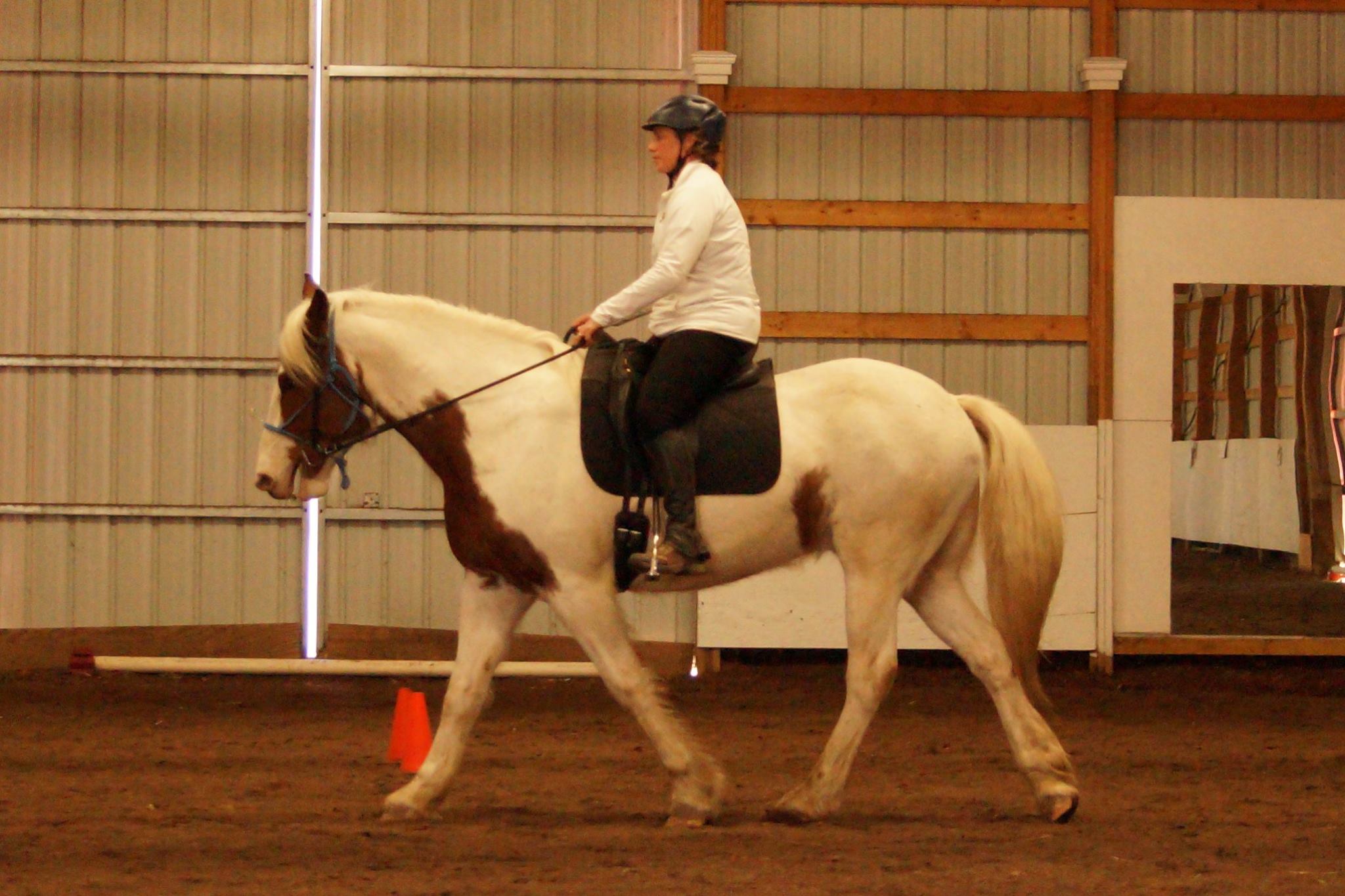 Walker's Triple R Ranch | Cambridge MN