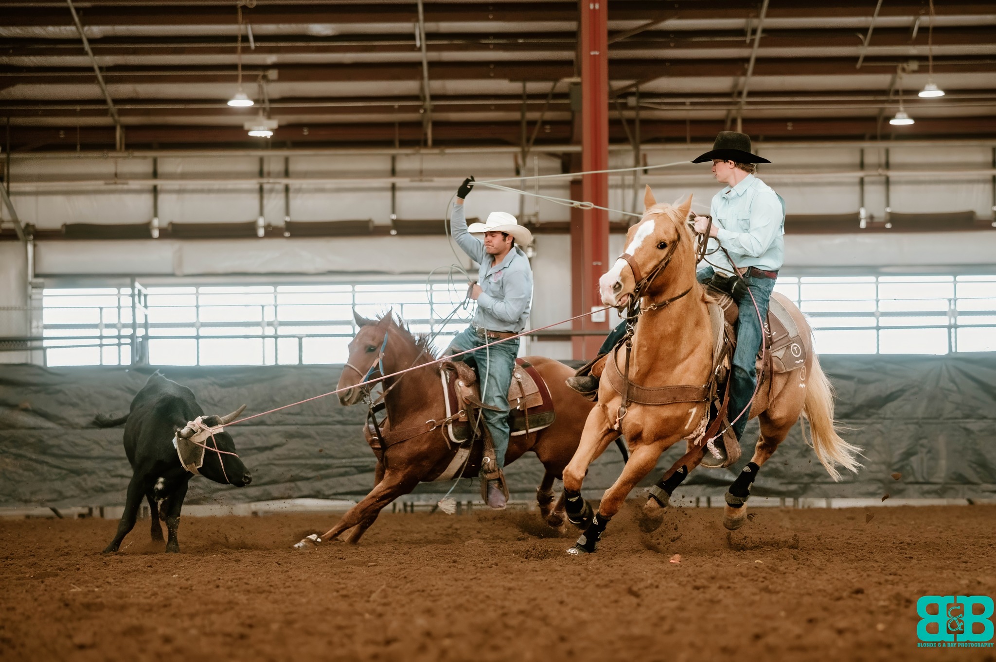 Wester... - Western Kentucky Little Britches Rodeo Association