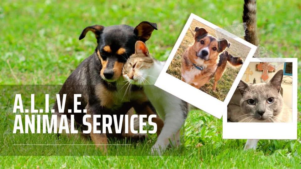 Animal Disaster Relief... - Animal Disaster Relief Coalition