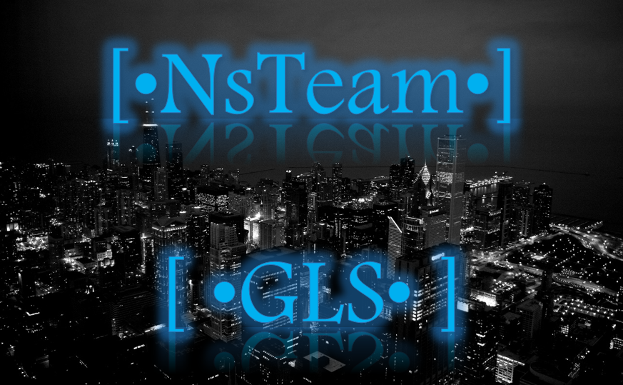 NsTeam Official