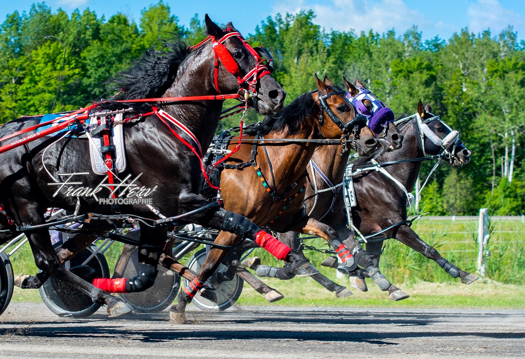 Piste de course de chevaux de Lachenaie | Terrebonne Centre QC