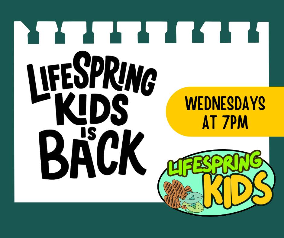 🎉 LifeSpring Kids is BACK! 🎉 After a... - LifeSpring Church | Facebook