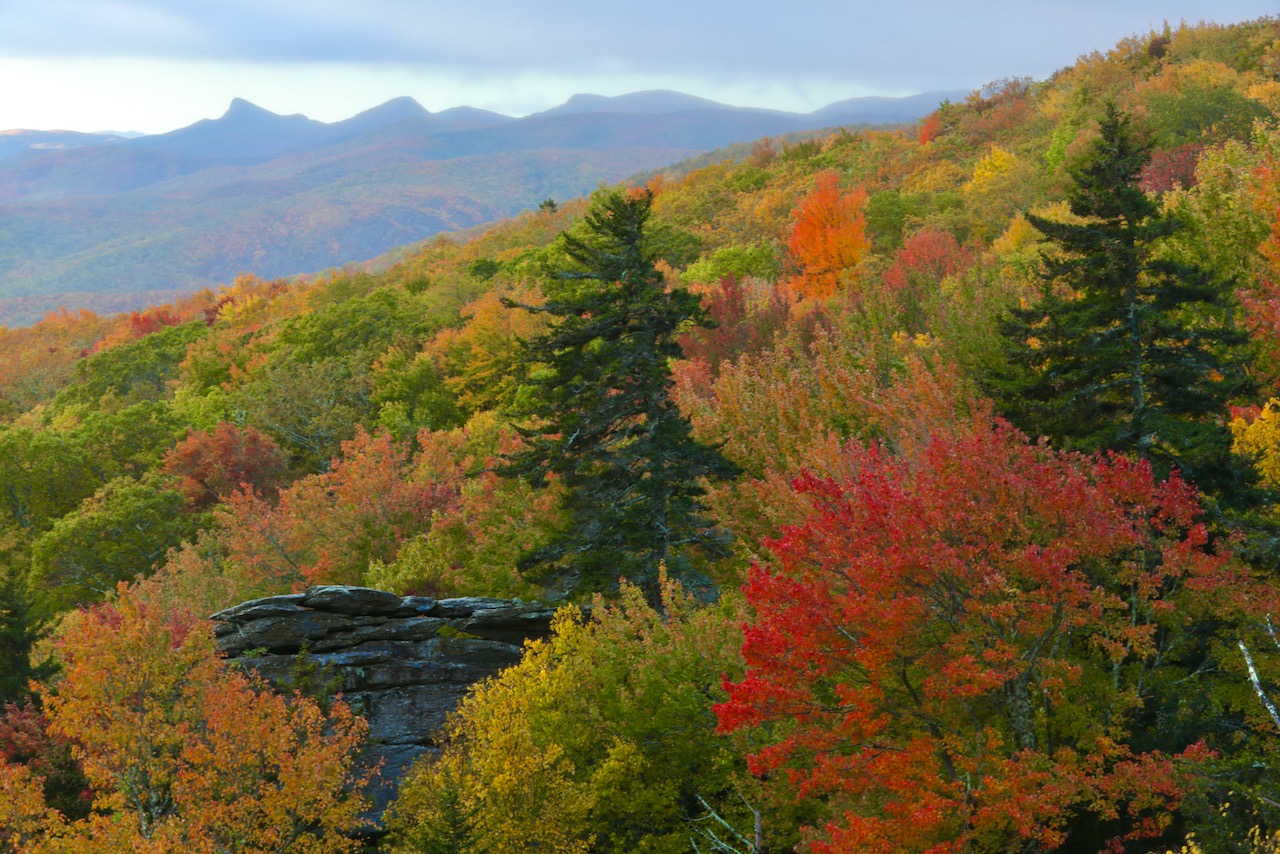 J. Scott - Colors along the Blue Ridge Parkway between Grandfather ...