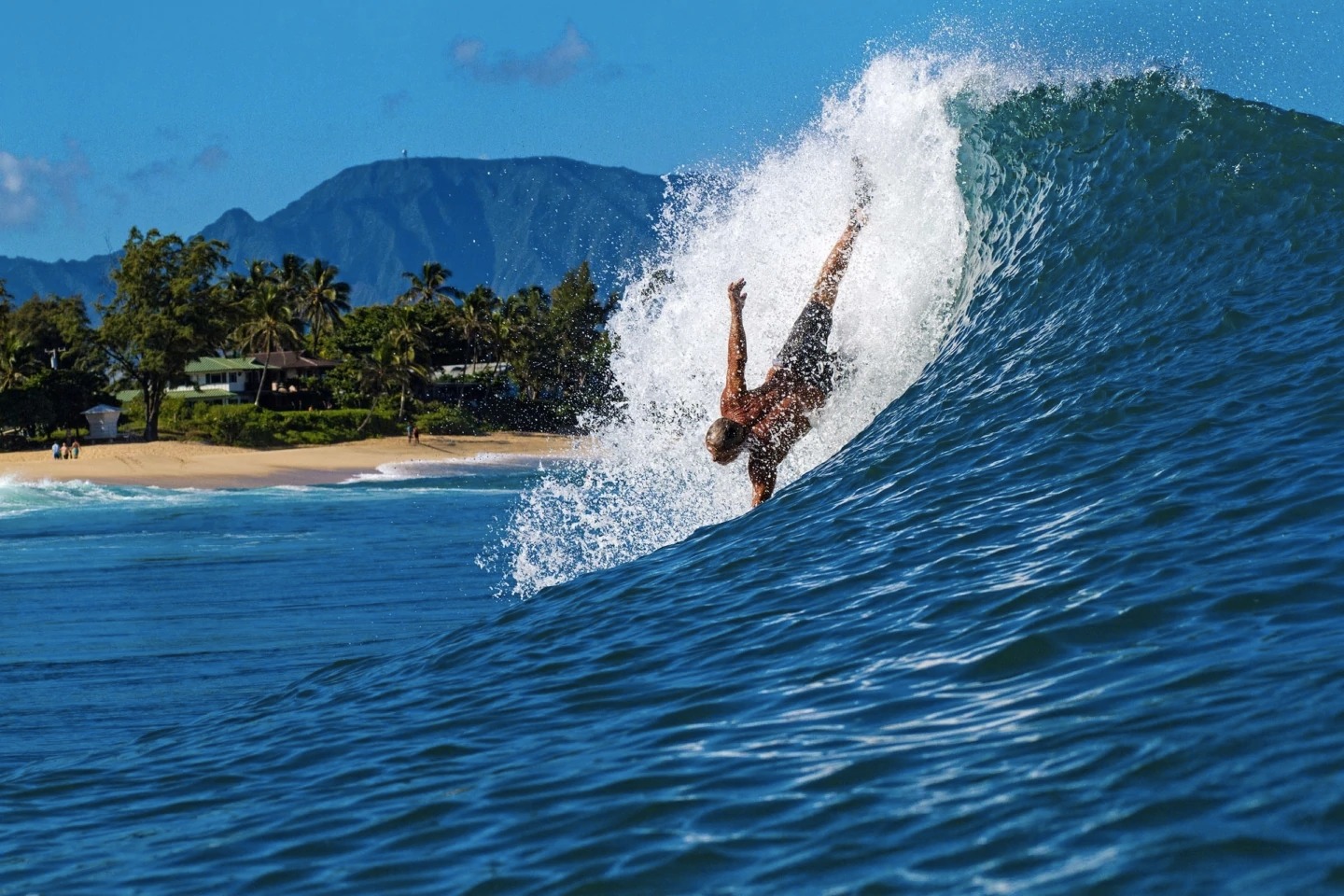 Meet our newest Wavemaker - Lou Harris. Born and raised in New 