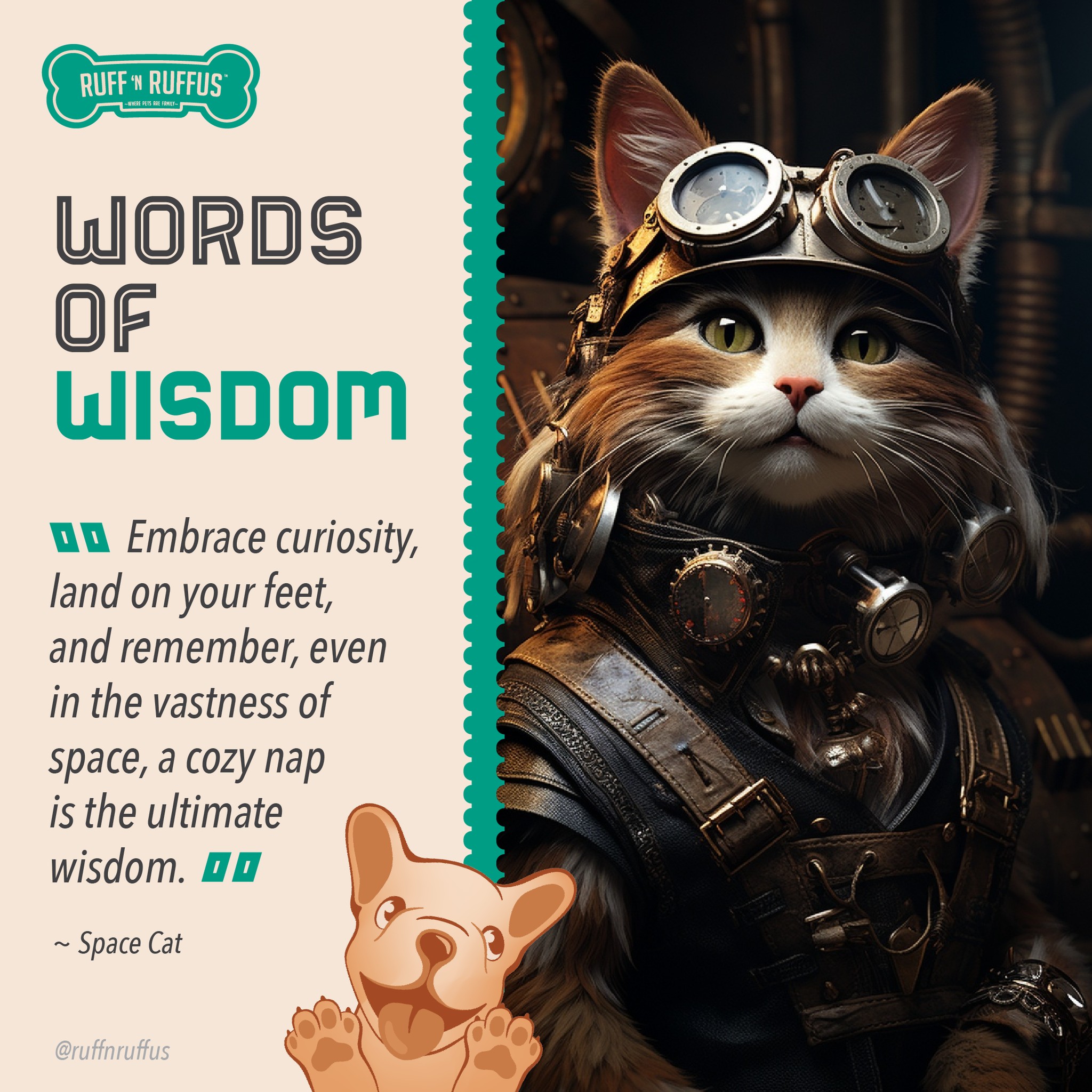 Ruff 'N Ruffus - In a world full of wonder, my cat...