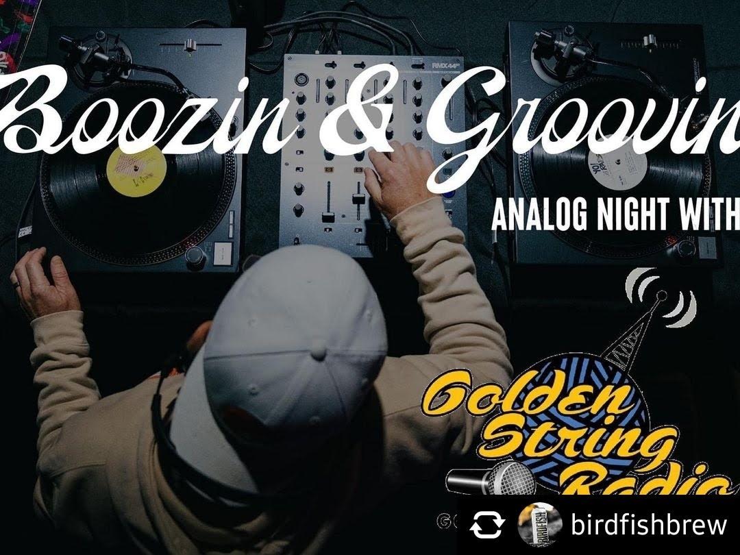 GabbaCamp - THIS FRIDAY THE 13TH! Boozin’ & Groovin’ Analog Night ...