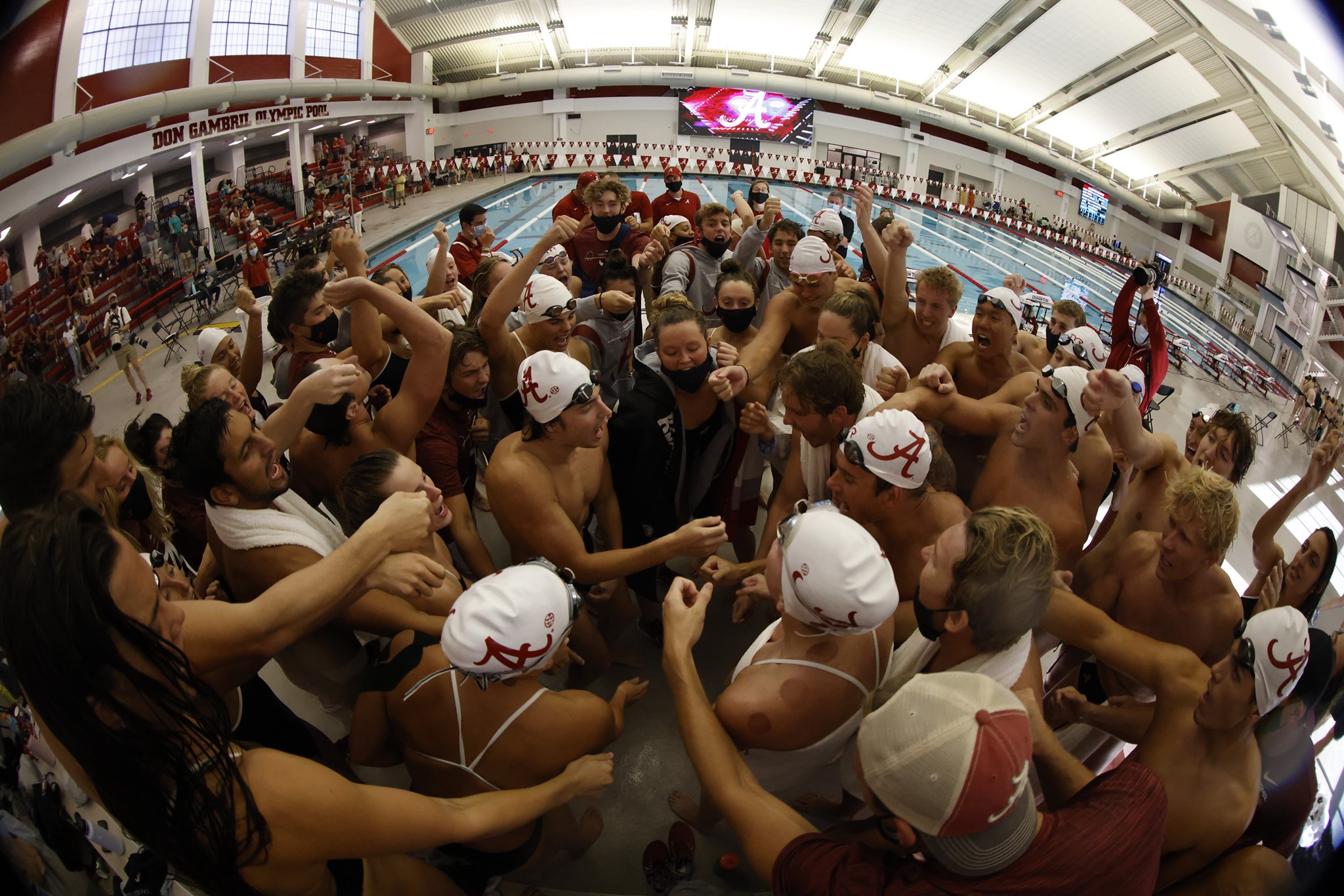 celebrating #NationalCoachesDay is... - Alabama Gymnastics | Facebook