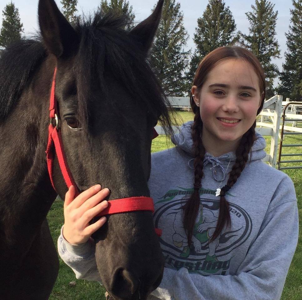 🐴 The $300 Horse... - Carousel Ranch Bourbonnais Illinois | Facebook