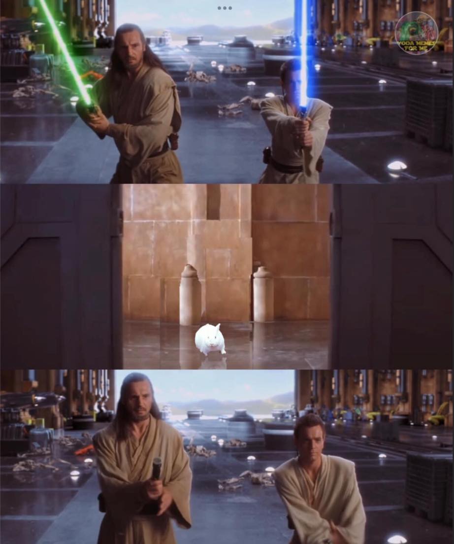 Monty Python and the Rabbit... - Star Wars Meme Extravaganza | Facebook
