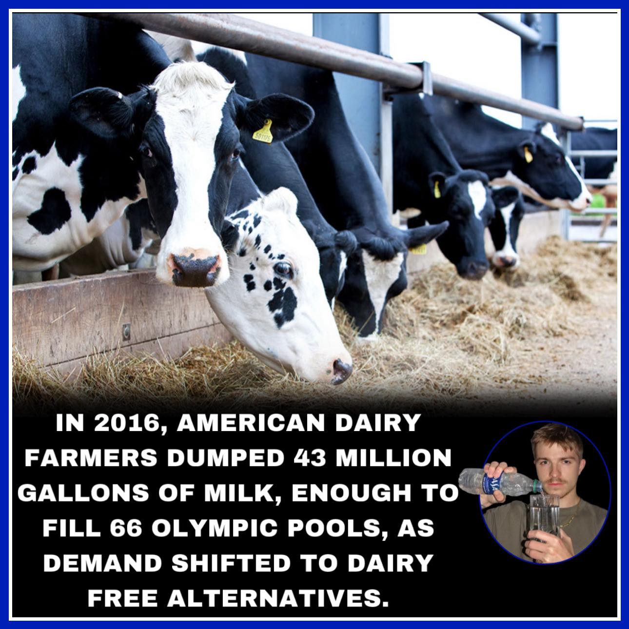 Icycol - In 2016, American dairy farmers were forced to dump over 43 ...