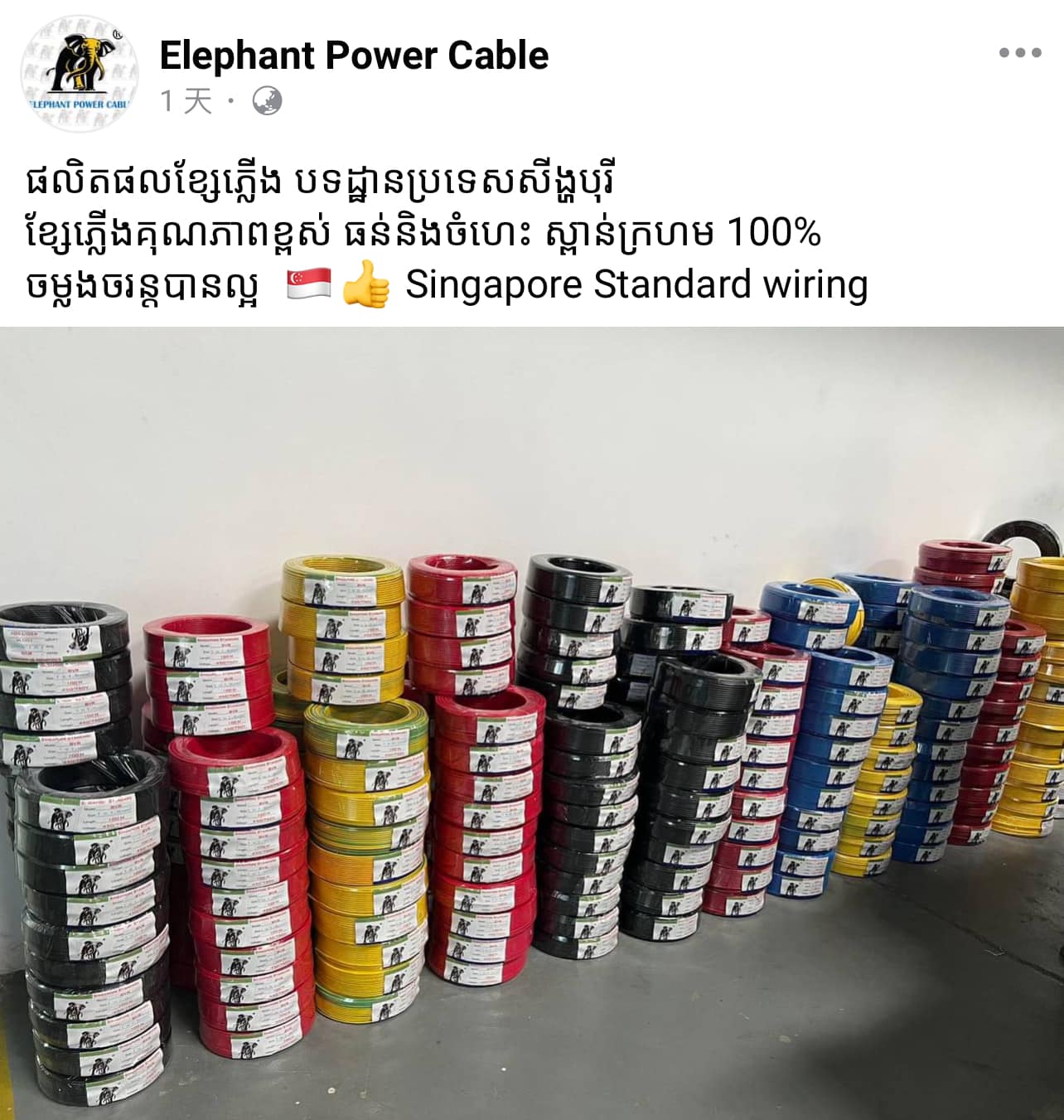 Elephant Power Cable Singapor Standard