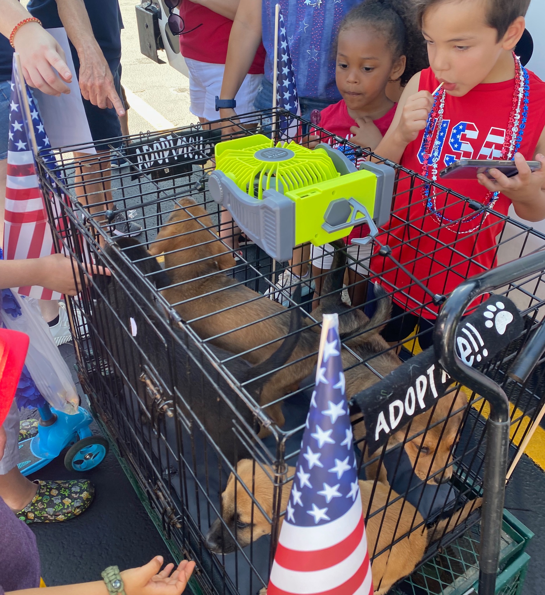 Project Hope... - Project Hope Animal Rescue Foundation