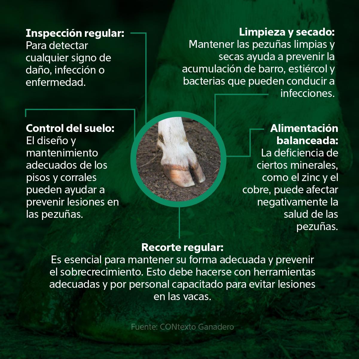 El cuidado e higiene adecuados de... - Lapisa Latinoamérica | Facebook