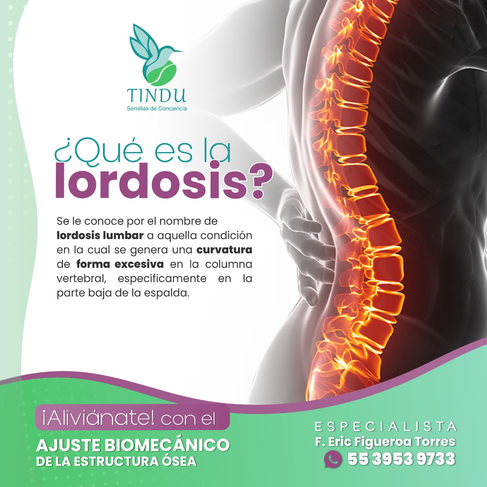 La lordosis puede causar... - TINDU Semillas de conciencia