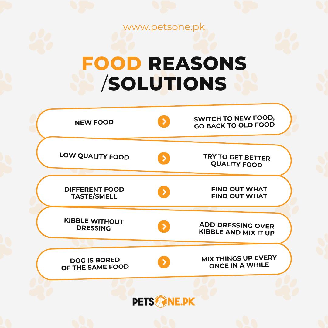 Do Dogs Get Bored of the Same Food? Discover Why!